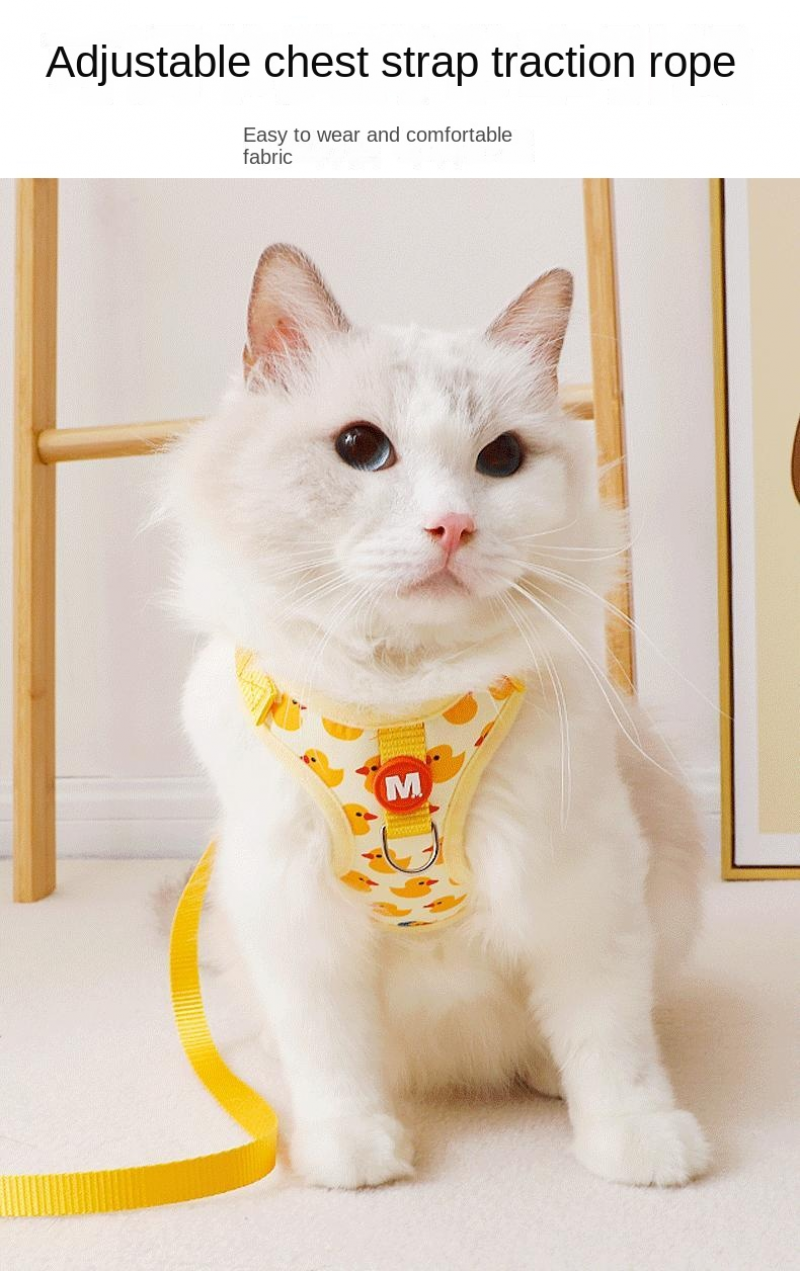 Cartoon Duck Harness & Leash Set – Adjustable Vest for Small Dogs